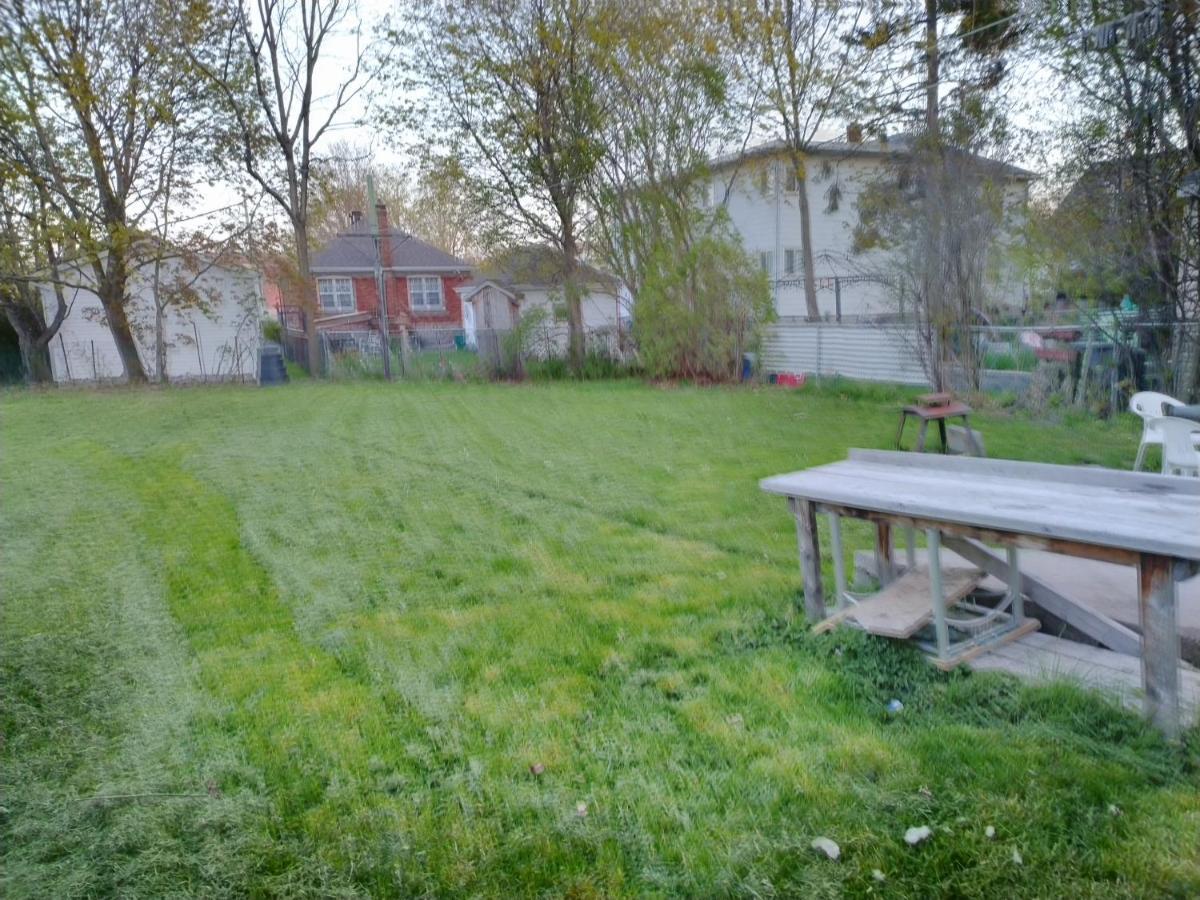 Cozy Downtown One Bedroom Free Parking Кингстън Екстериор снимка